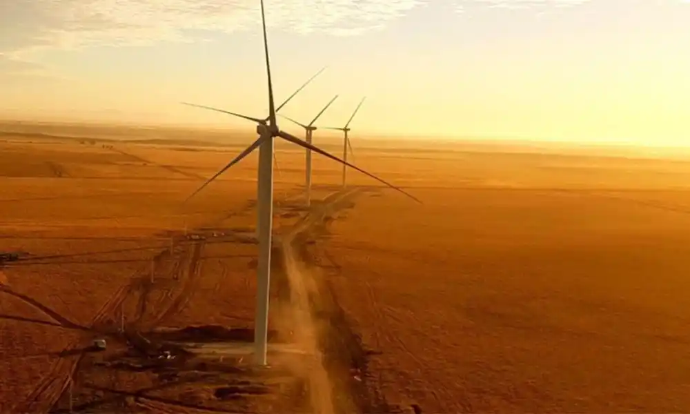 Coronavirus en trabajadores del Parque eólico Buratovich de Villarino: Intendente de Bahía Blanca presentó una denuncia