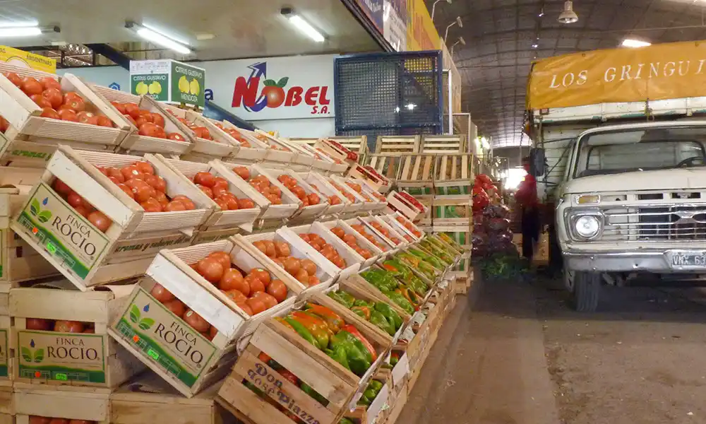 Coronel Suárez: Instalarán Mercado Concentrador Frutihortícola para impulsar economía local