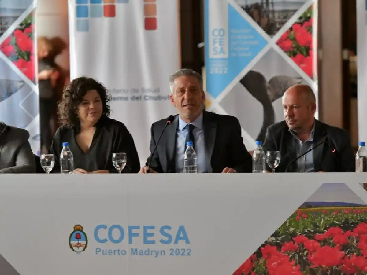 La ministra Vizzotti encabeza una nueva reunión del Consejo Federal de Salud