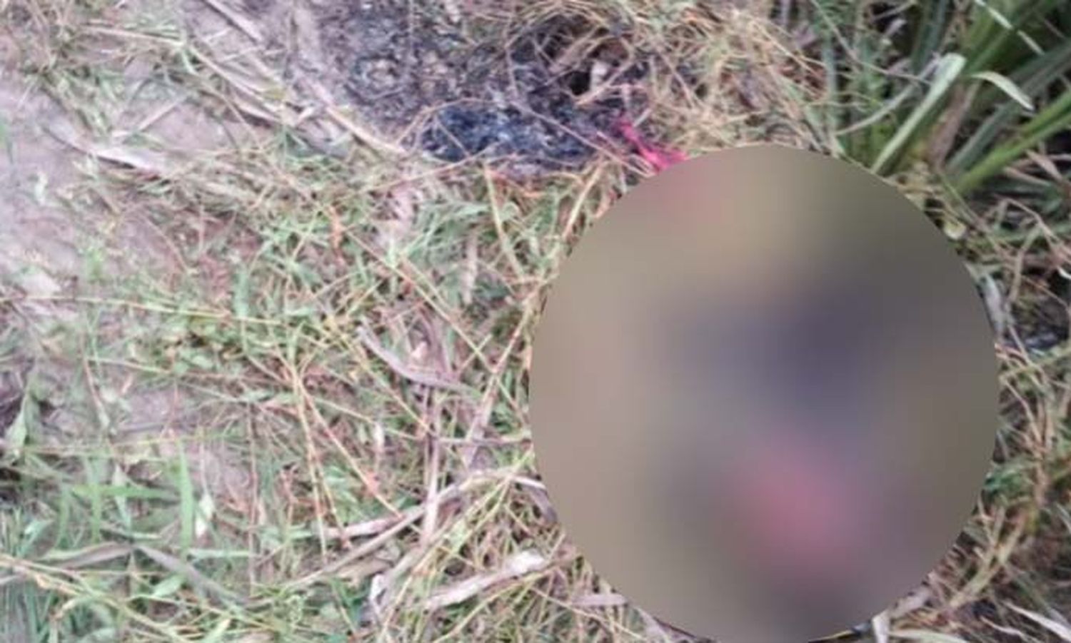 Balearon y quemaron vivo a un presunto ladrón de 17 años en Zárate