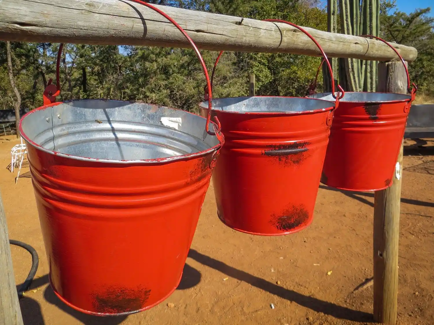 El guiño de la semana