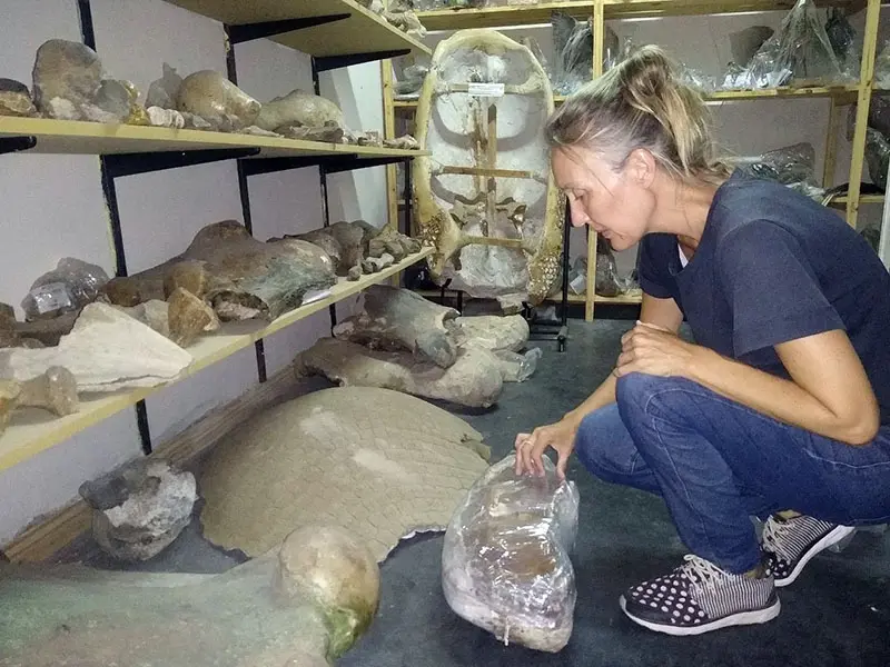Tras el hallazgo. Sigue la investigación