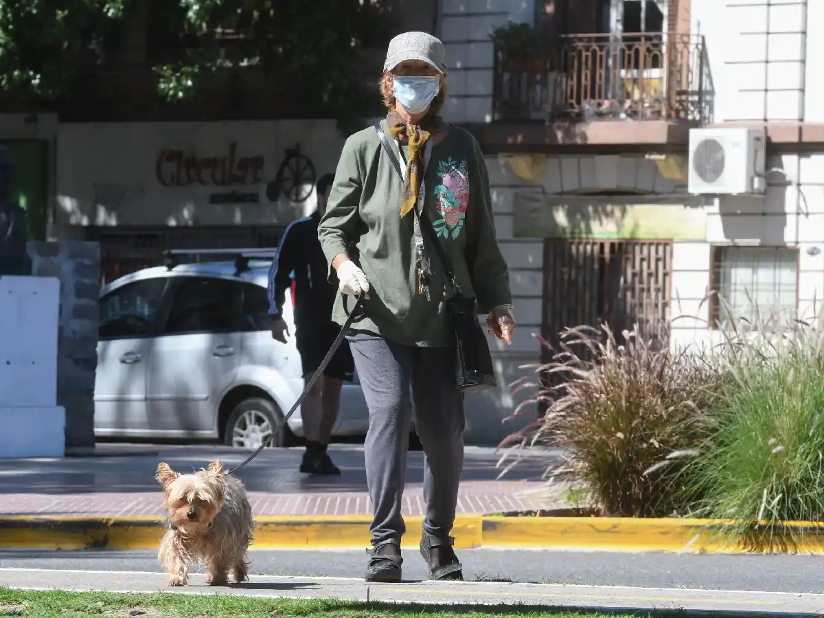 Aseguran que las mascotas incrementan su ansiedad  al modificarse sus rutinas   