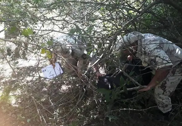 Recuperaron varios elementos robados en la Sociedad Rural