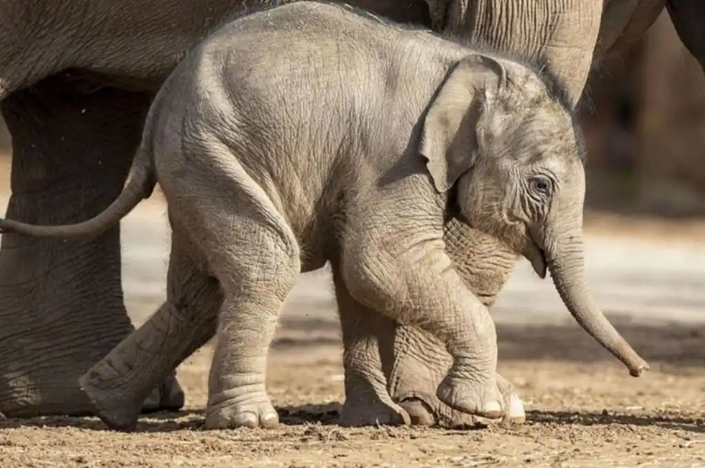 La violencia se debe a motivos no identificados, según datos del gobierno del país asiático.