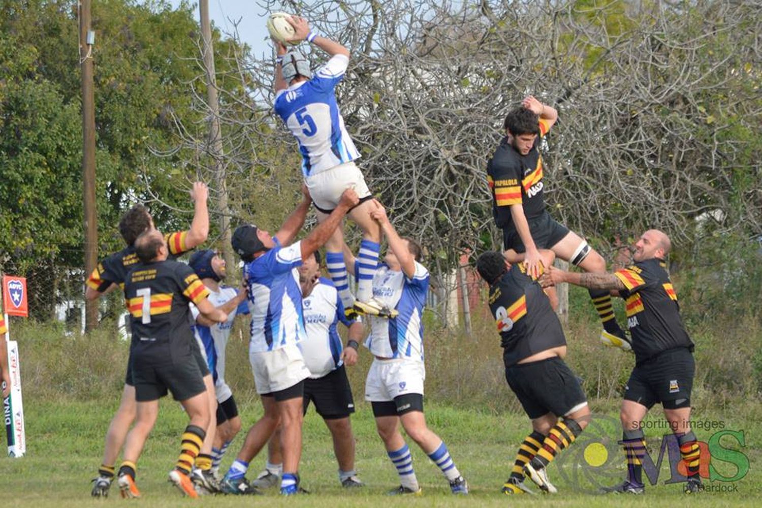 Los planteles de rugby arrancan la pretemporada