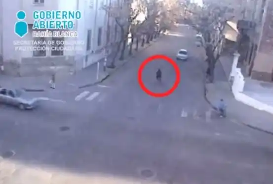 Video: Así atacan los "bicichorros" en Bahía Blanca