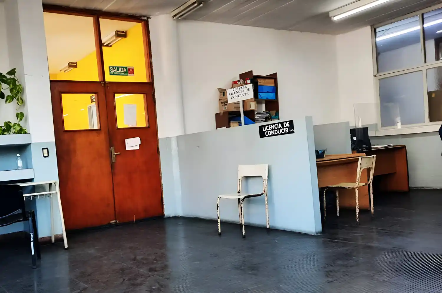 La licencia trucha no había sido tramitada en las oficinas municipale sino a través de "un gestor".