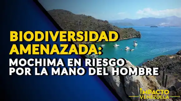 BIODIVERSIDAD AMENAZADA: Mochima en riesgo por la mano del hombre