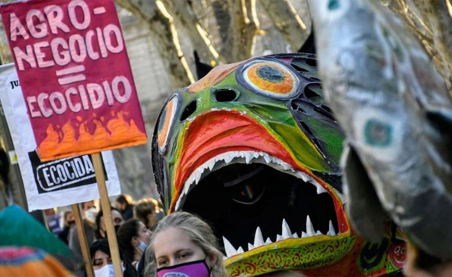 Rosarinos marchan por la ley de Humedales