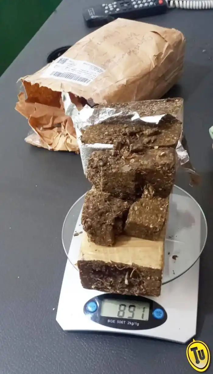 Can de Gendarmería  detectó marihuana en  una encomienda