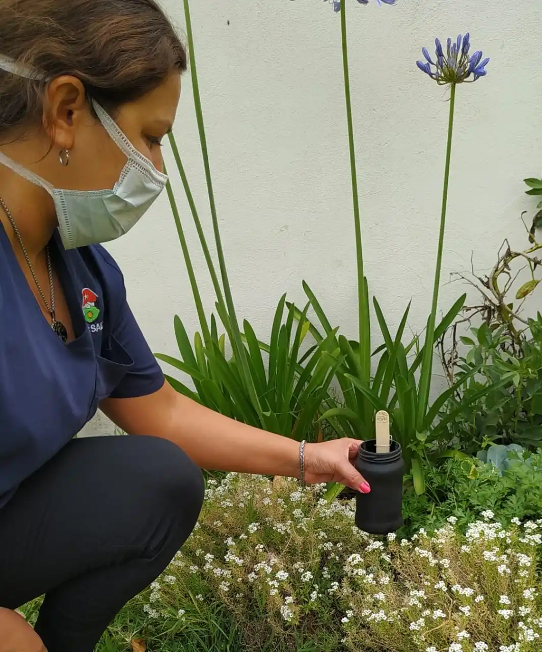 Se realizará una capacitación para colocar "ovitrampas" contra el mosquito del dengue