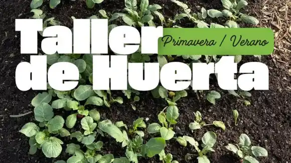 Taller de huerta en primavera-verano se hará en el Vivero