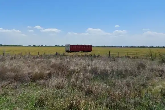 RN11: a un camión se le desenganchó el acoplado y terminó en medio del campo
