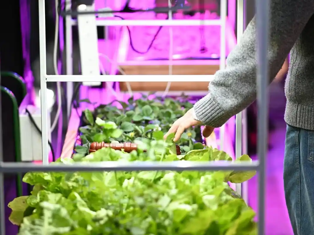 La Expo Gualeguaychú Sustenta cerró con dos jornadas de actividades y amplia participación