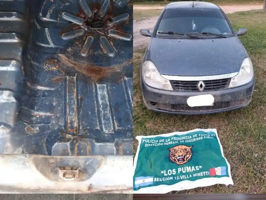 Robó un ternero, lo carneó y enseguida lo vendió: quedó detenido