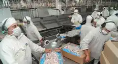 Avícola: encuentros virtuales de la UTN