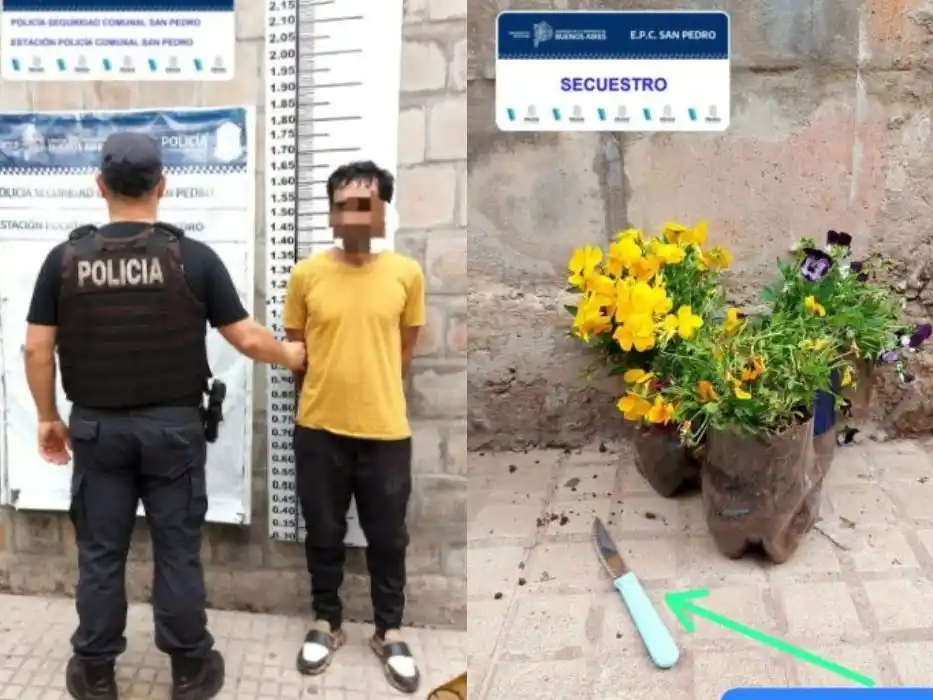 El autor del hecho utilizó un cuchillo para arrancar los plantines.