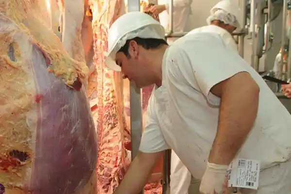 Despiden 70 empleados de Marfrig en Córdoba