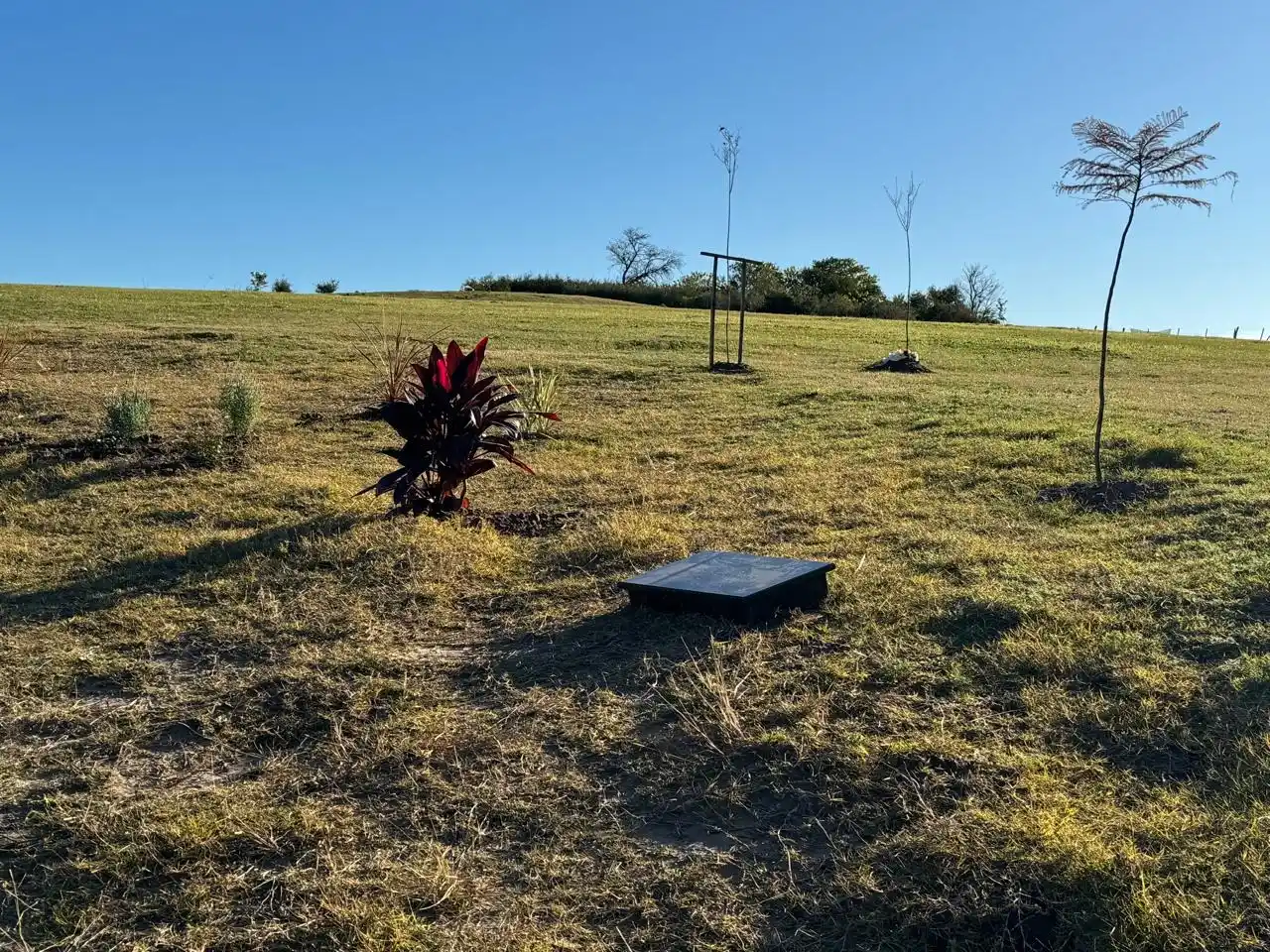 Imágenes recientes acercadas a Paralelo 32 por vecinos de lugar