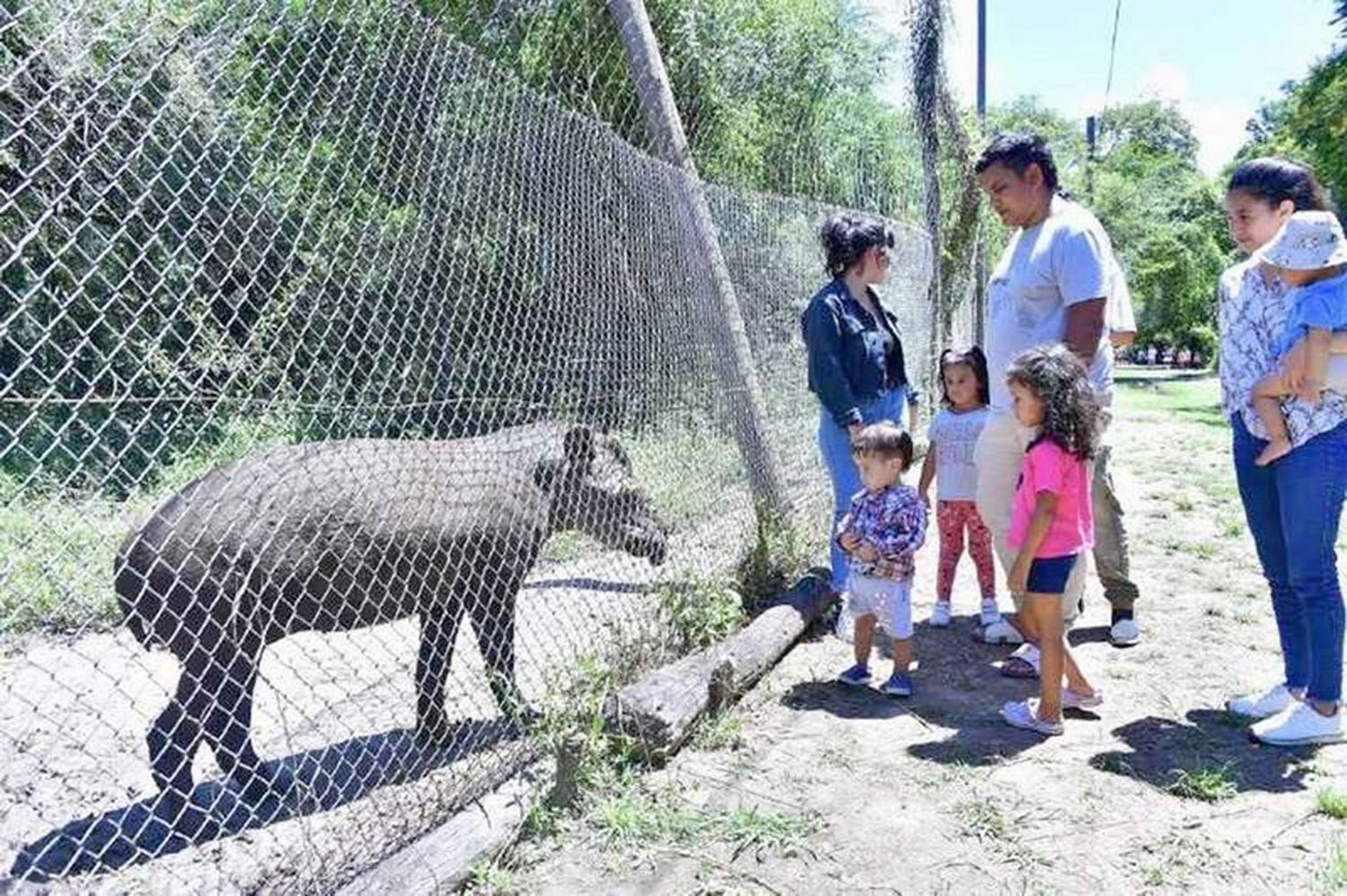 Guaycolec: El Ministerio de la Comunidad
ofrece actividades recreativas y educativas