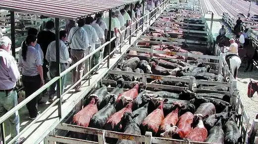 Estiman un traslado progresivo del Mercado de Liniers a Cañuelas