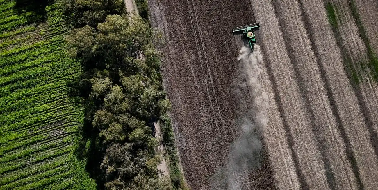 “Abril continuará siendo un mes con una persistente circulación de aire cargado de humedad, algo que seguramente se capitalizará en nuevos sistemas precipitantes.”, dice el consultor Elorriaga.