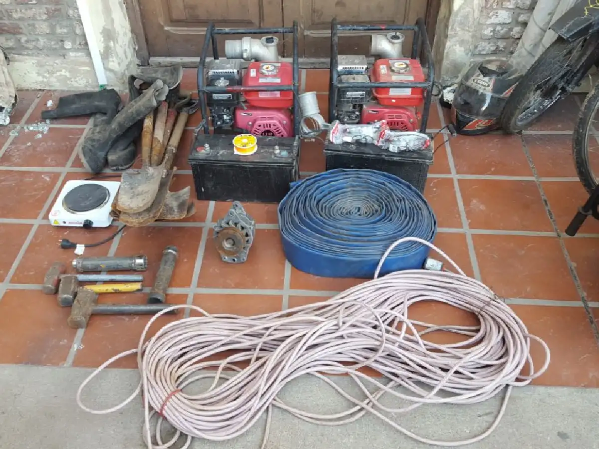 Hallan elementos robados de la obra de Lear 