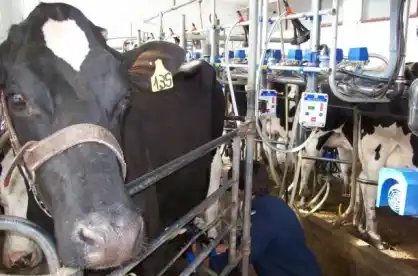 Productores tamberos protestan ante la baja en el precio de la leche