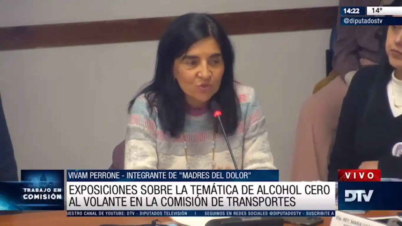 Con invitados se realizó el debate sobre el proyecto de alcohol cero al volante