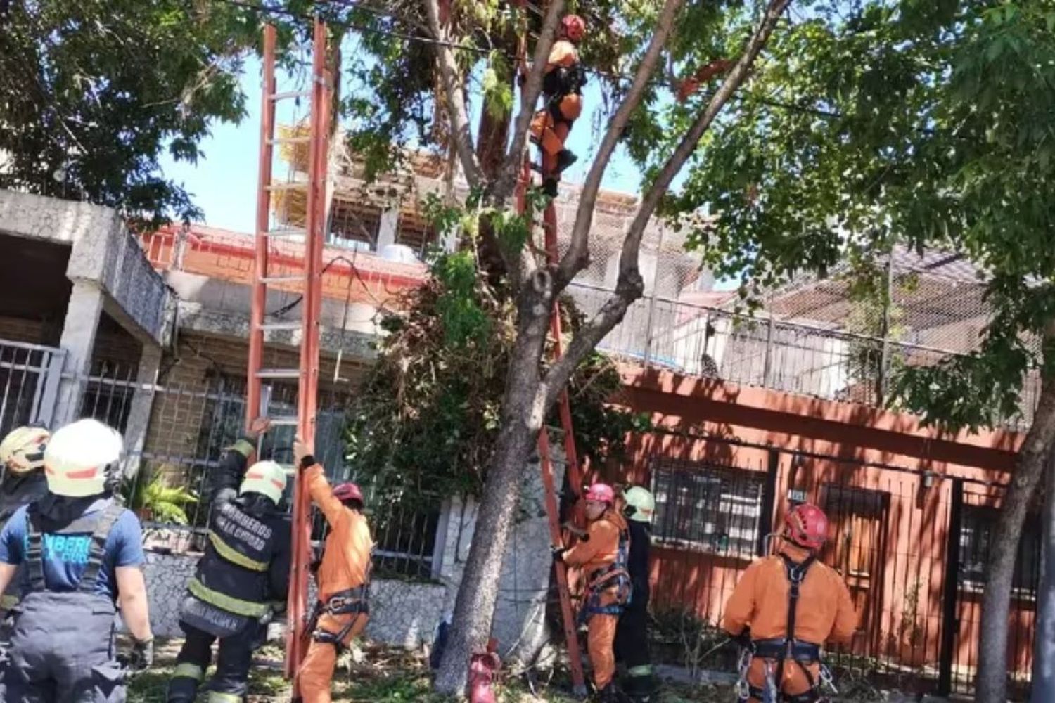 La trágica secuencia sucedió este domingo a la tarde en la intersección de Vedia y Puente Zapiola, a metros de la avenida General Paz.