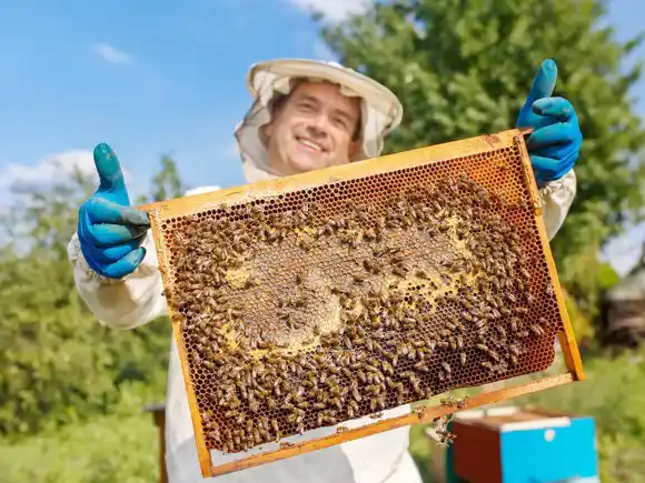 Realizarán una jornada pública institucional para difundir la apicultura como actividad productiva