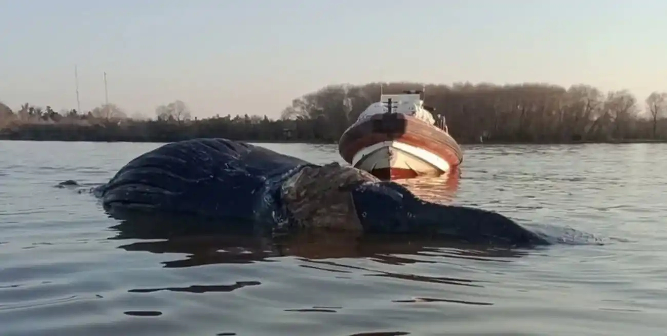 Se trata del tercer caso en pocas semanas en la región