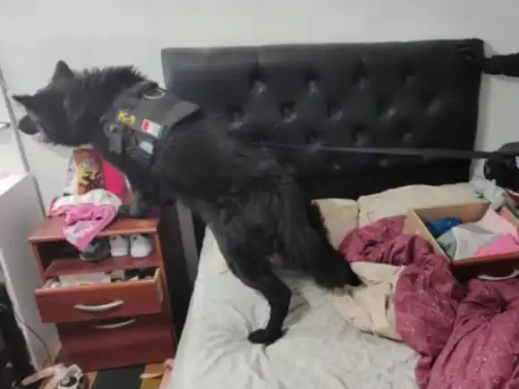 Desarticularon dos puntos de venta de drogas en Córdoba y hay dos detenidos