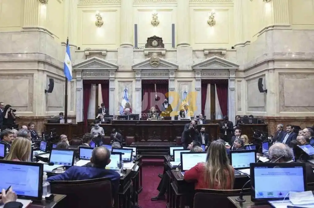 El oficialismo logró aprobar en el Senado la creación de un fondo para pagar al FMI con “dólares fugados”