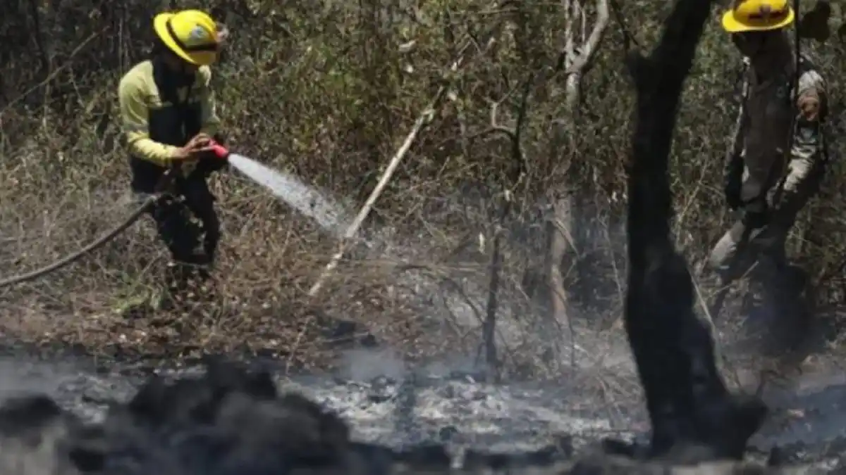 ¡CLIMA LOCO! Después de las lluvias se esperan temperaturas hasta de 39°C e incendios forestales