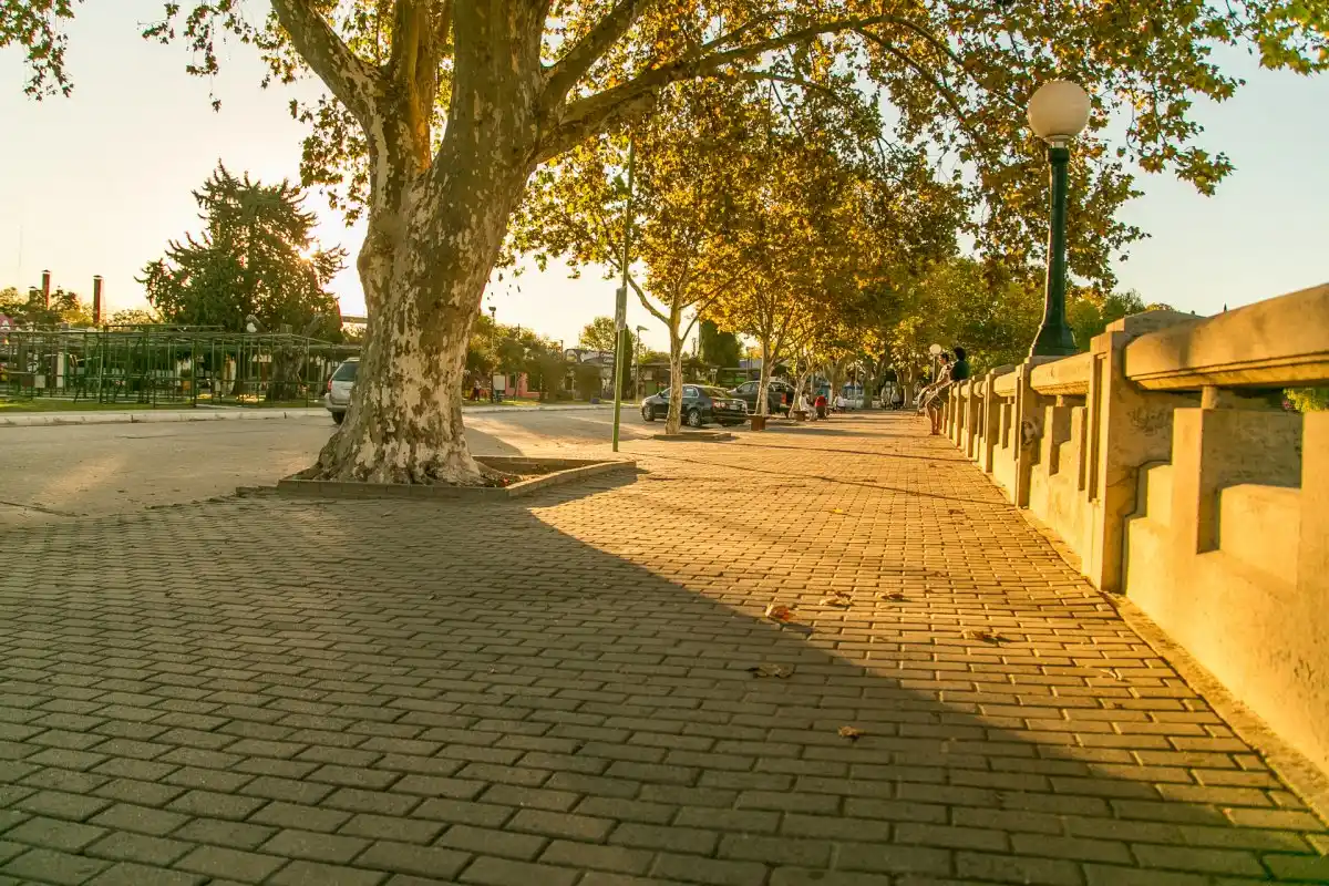 Comienza el reemplazo de luminarias de costanera por lámparas LED