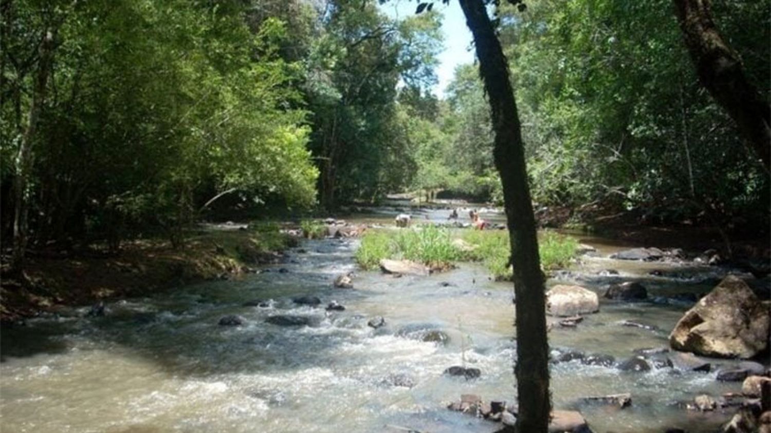 Murió ahogado un joven mientras pescaba en un arroyo en la tarde del domingo