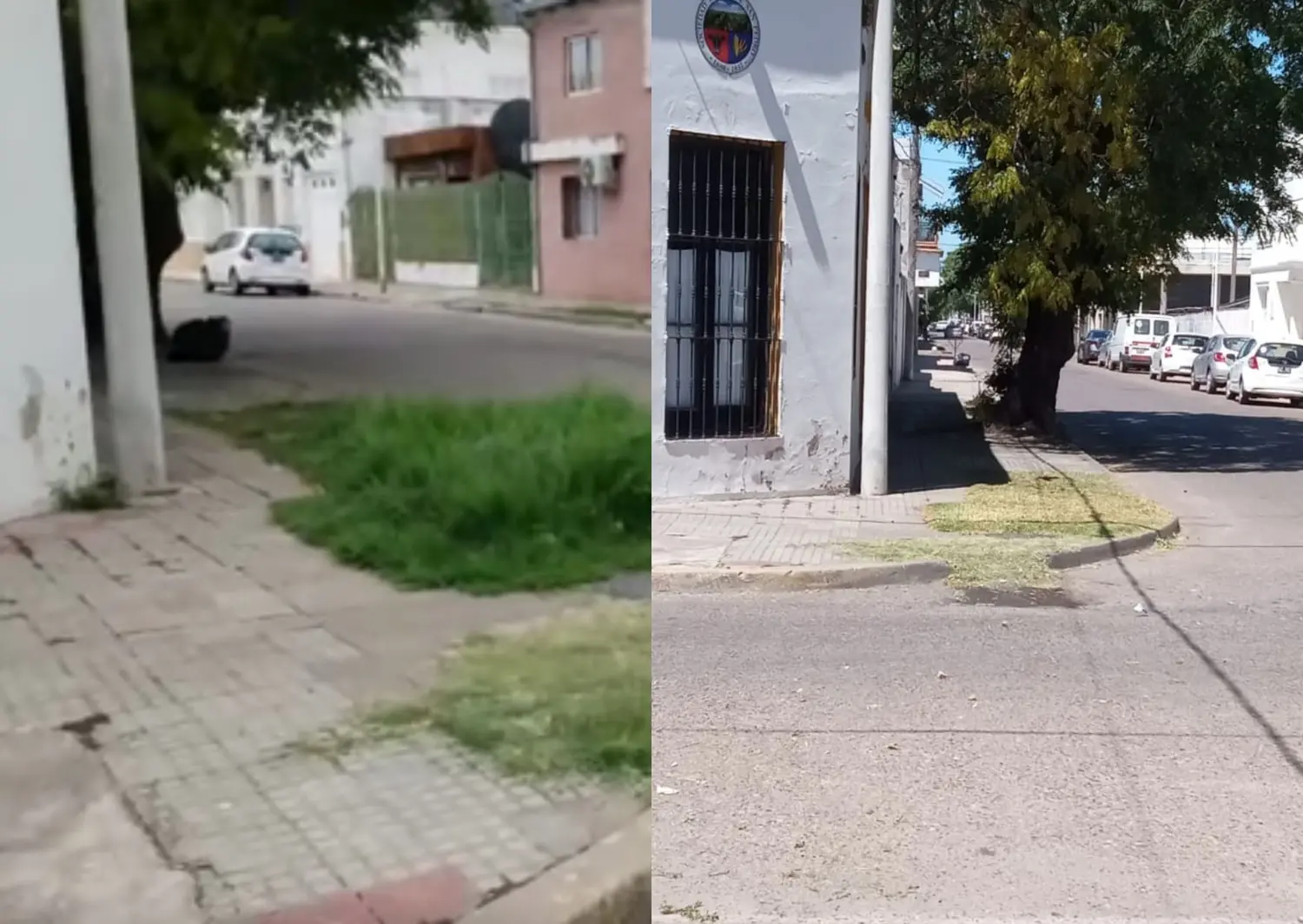 El antes y después de la Sociedad Rural: cortaron el pasto