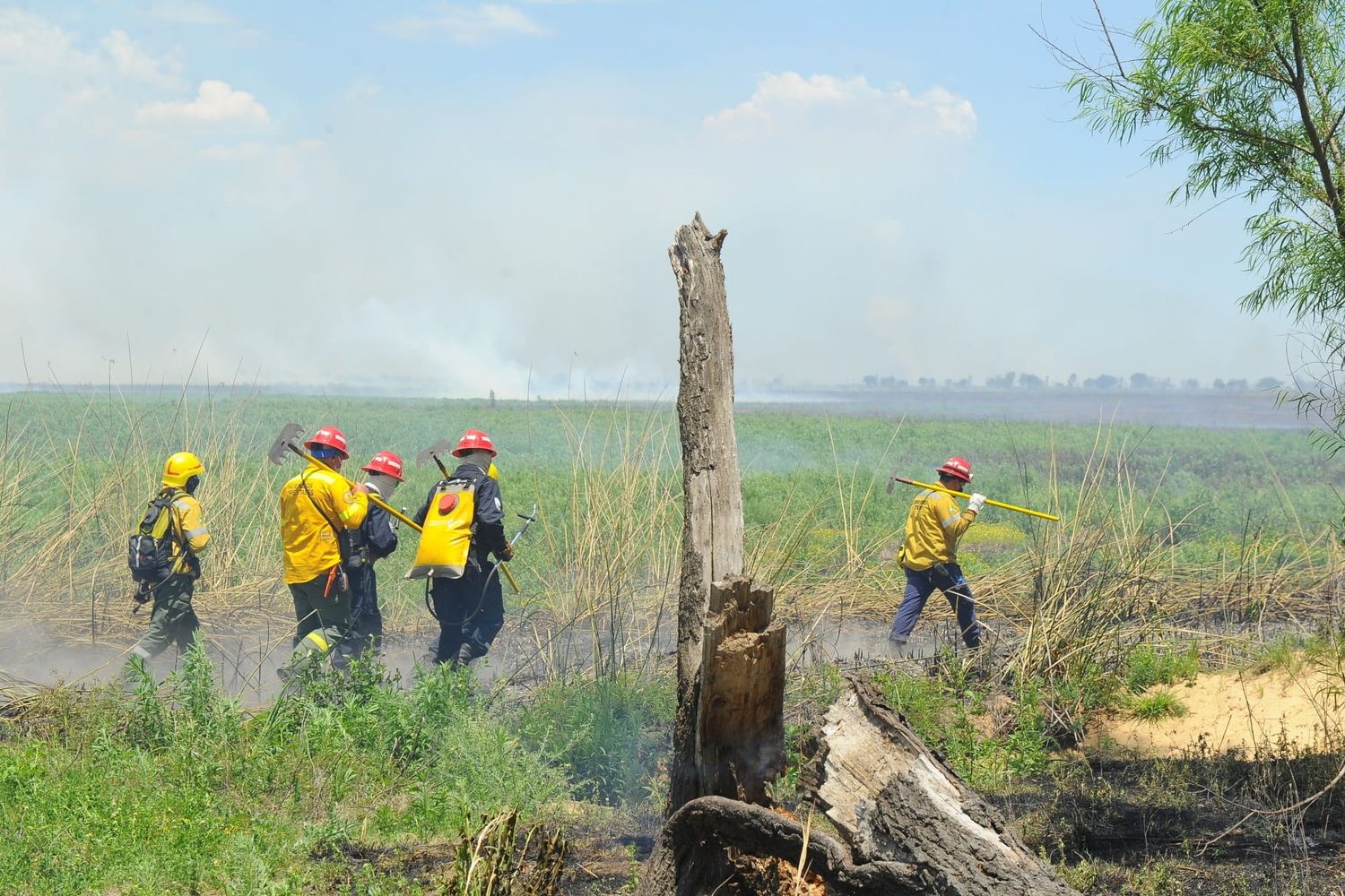 Entre Ríos con focos de incendios en el Delta