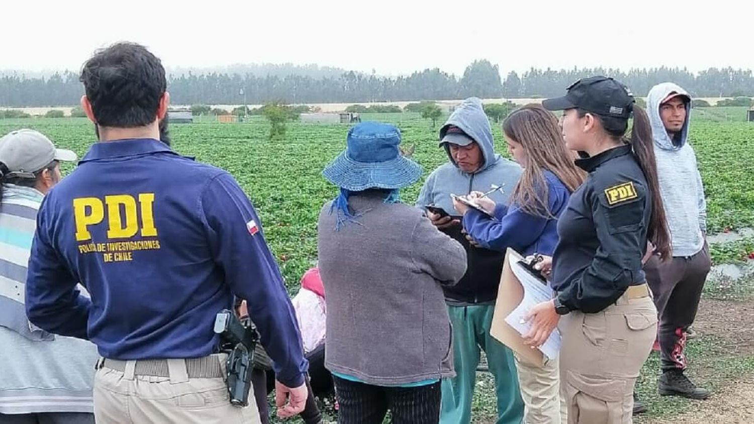 MEGAOPERATIVO LIBERA a venezolanas y colombianas de red internacional de trata de personas