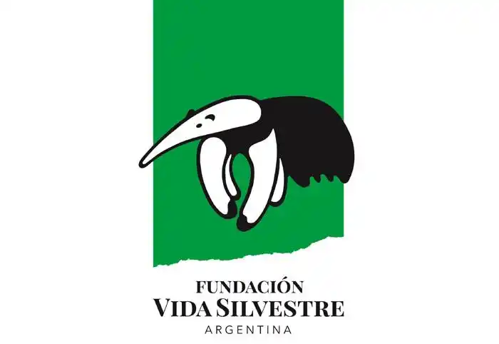 Vida Silvestre invita a docentes y multiplicadores a inscribirse a un nuevo curso virtual gratuito de educación ambiental