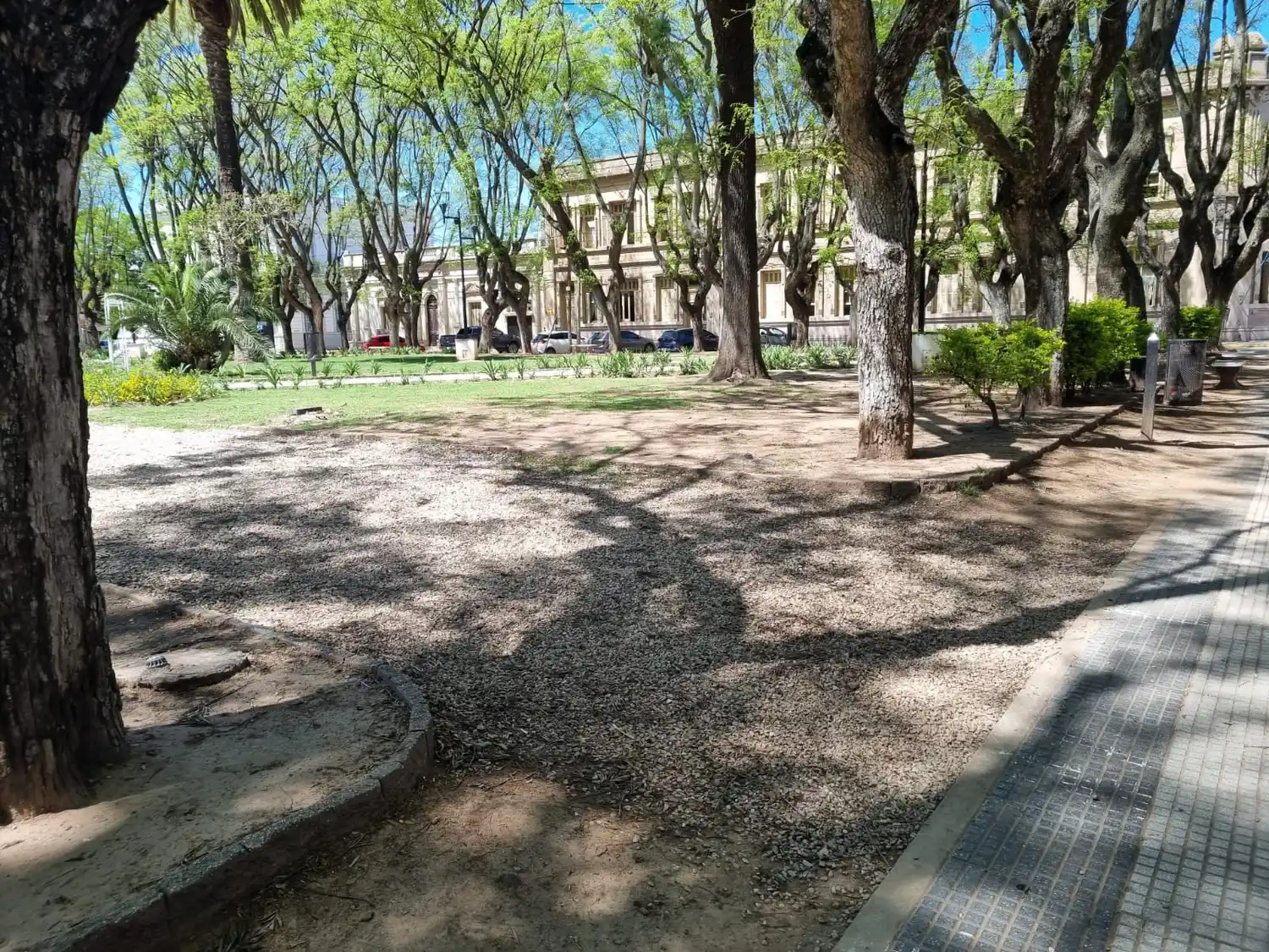 La estética de Carlos Thays desapareció de la Plaza Consitución y se transformó en otro símbolo de decadencia. Foto: La Opoinión.