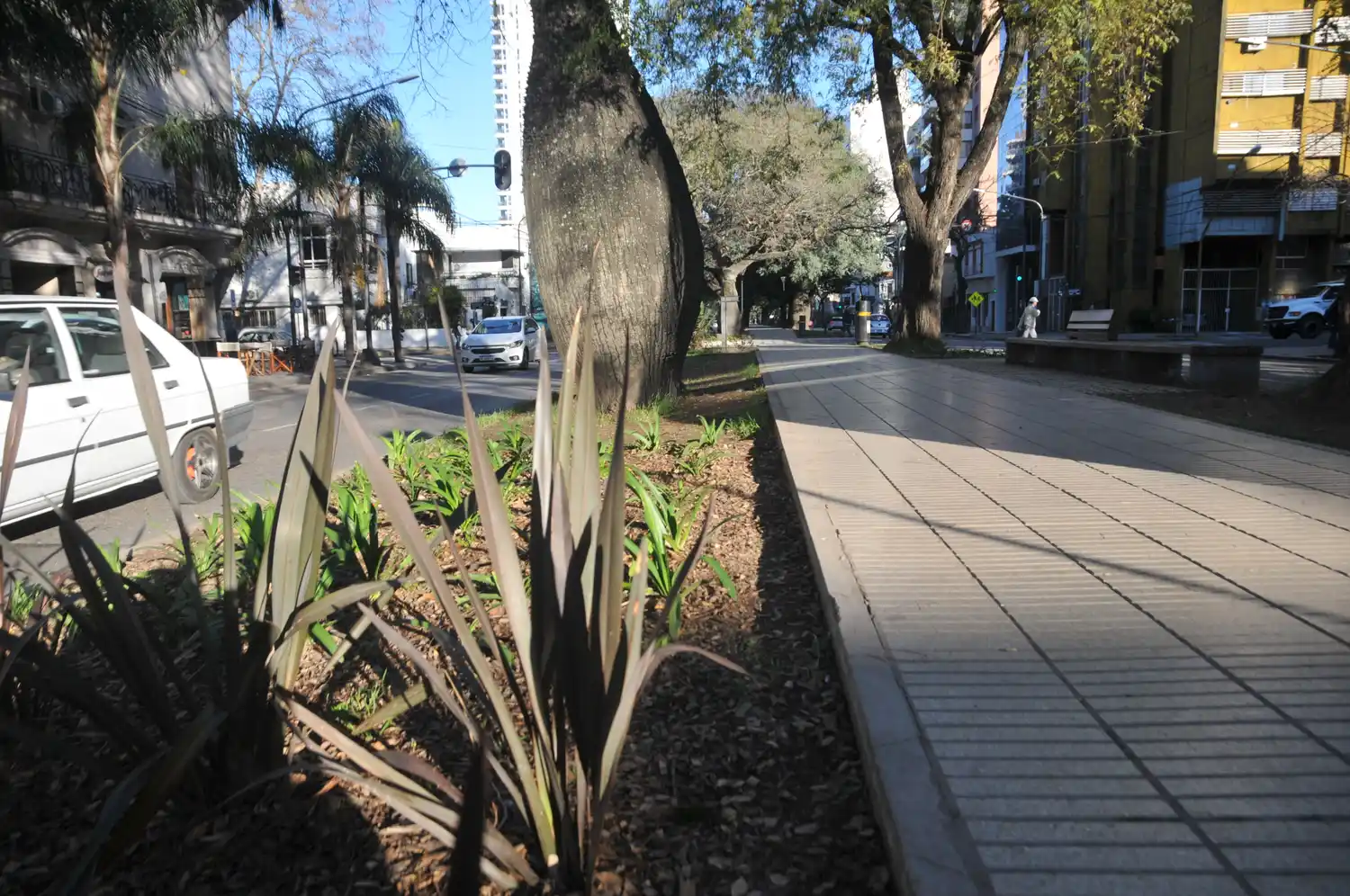 Jueves a puro sol en la ciudad