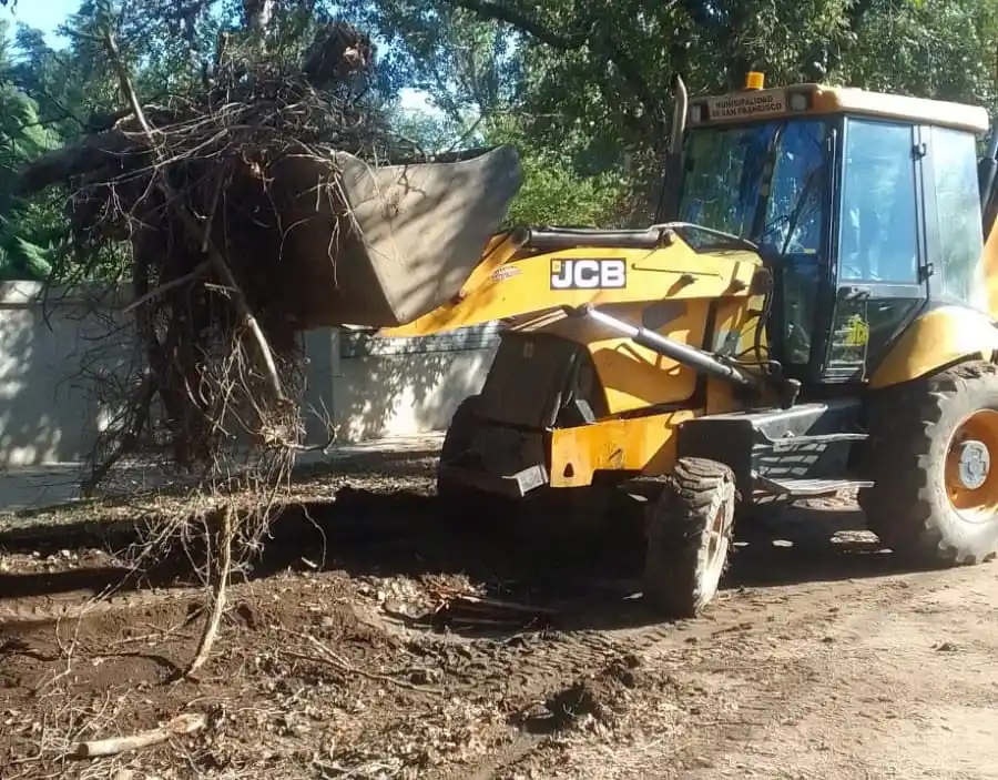 recolección de inertes