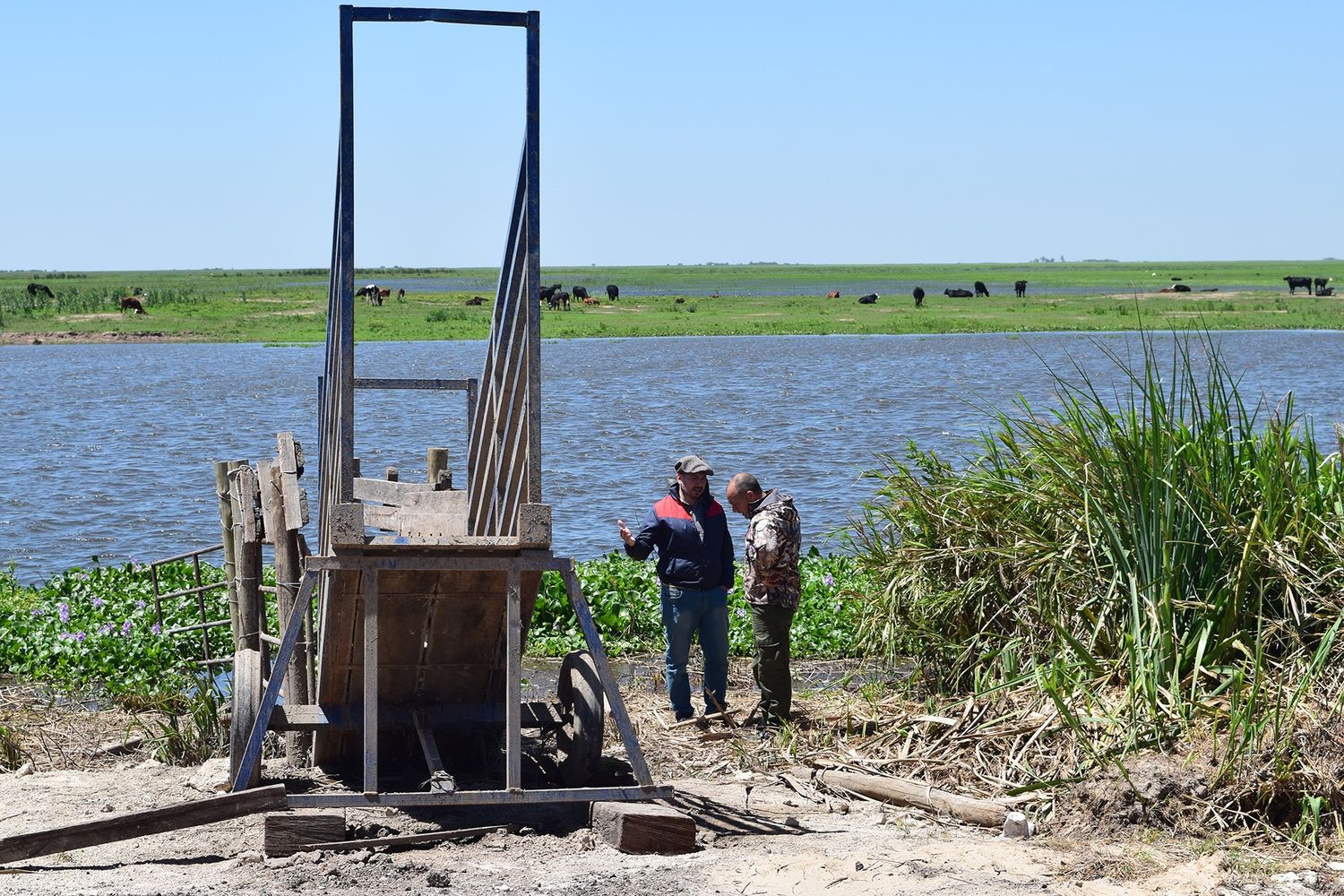 Provincia impulsa la ganadería isleña con la cesión de terrenos para nuevos embarcaderos en Victoria