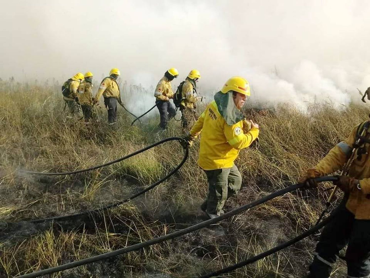 Fuertes temperaturas, varios incendios, pastizales y forestales