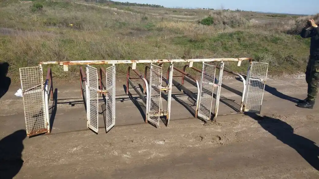 Operativo contra carrera de galgos en Carhué: Hay cuatro detenidos