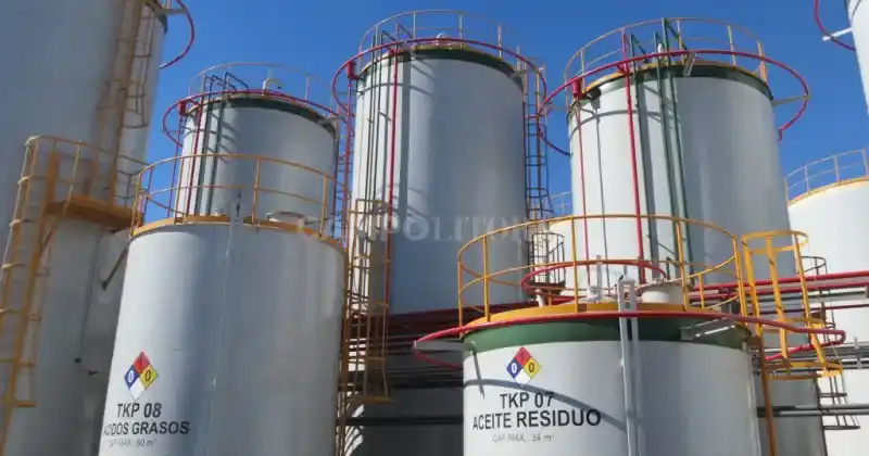 Bioeconomía: “Argentina está haciendo una mala lectura del mundo”