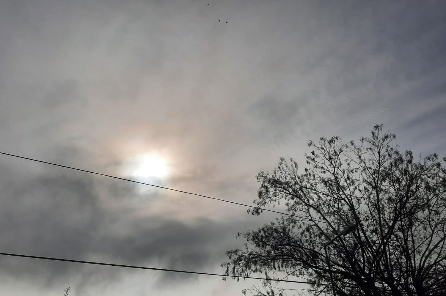 San Pedro está incluida en la alerta del Servicio Meteorológico por la presencia de humo